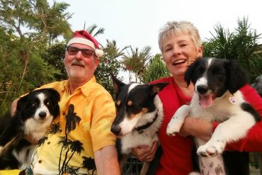 Sally's family - Champ (age 8), Gunther, Pepper (age 5), Sally & Jazz (3 months)