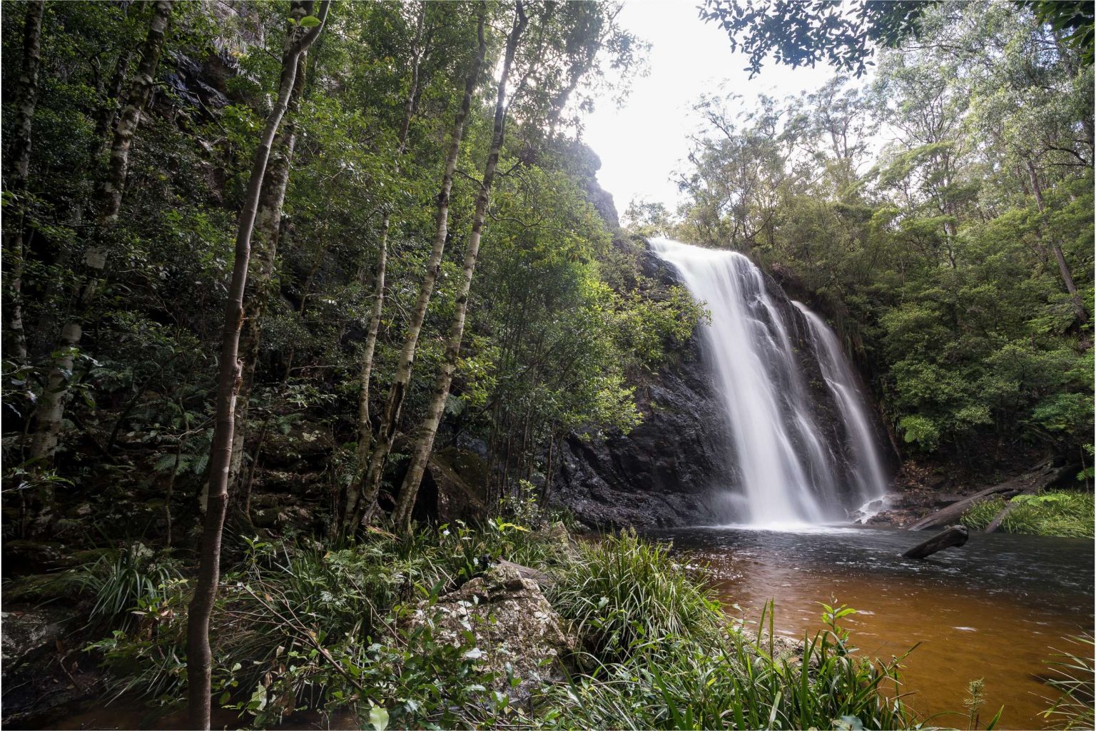 Escape to River Highlands: Where Nature's Beauty Meets Adventure