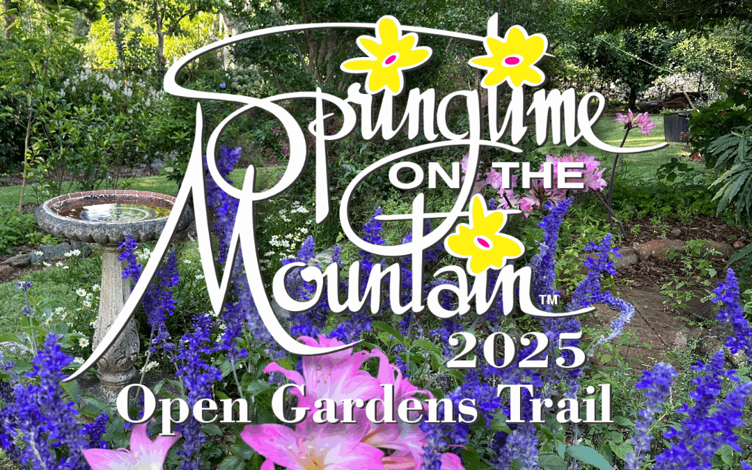 Springtime on the Mountain