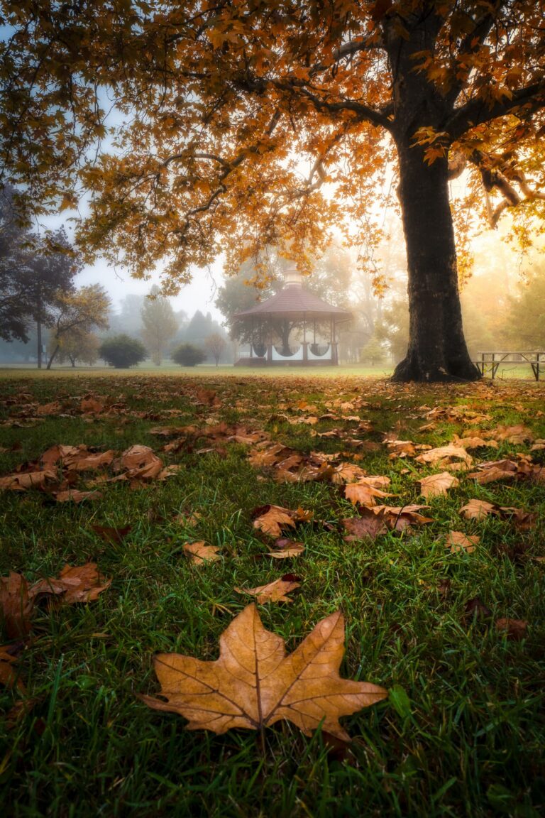 So many reasons to spend Autumn in the Glen Innes Highlands!