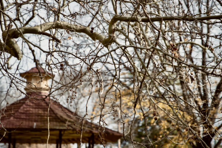 Winter Warmth Awaits in the Glen Innes Highlands