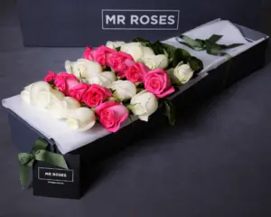 MR ROSES Long Stemmed Pink & White Cream Roses