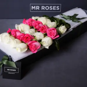 MR ROSES Long Stemmed Pink & White Cream Roses
