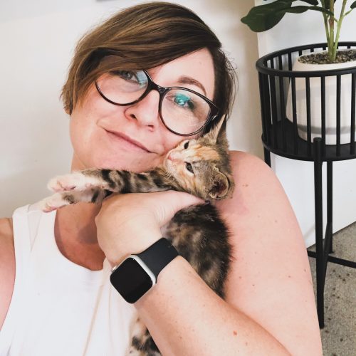 Foster care saves animals