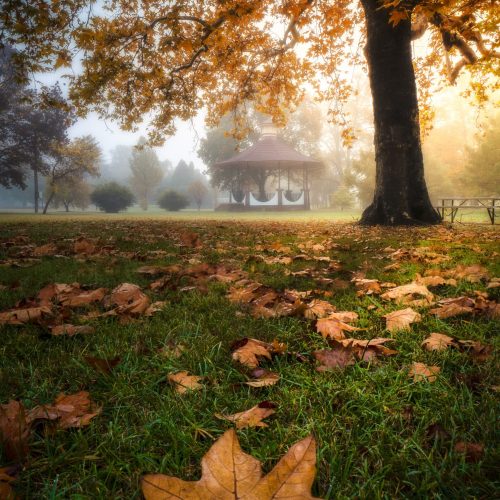 So many reasons to spend Autumn in the Glen Innes Highlands!